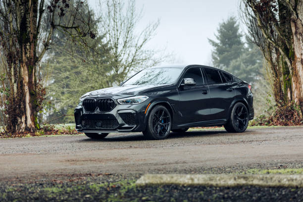 BMW X6 Carbon Black exterior
